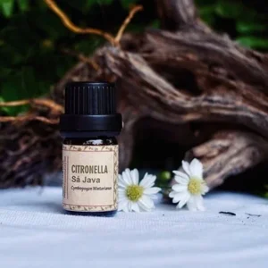 Citronella essential oil