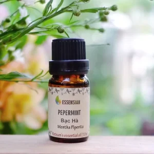 peppermint_essensial_oil